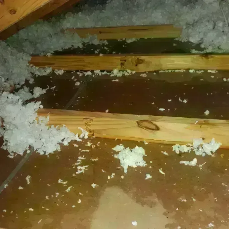 Attic Water Damage in Wellman, IA