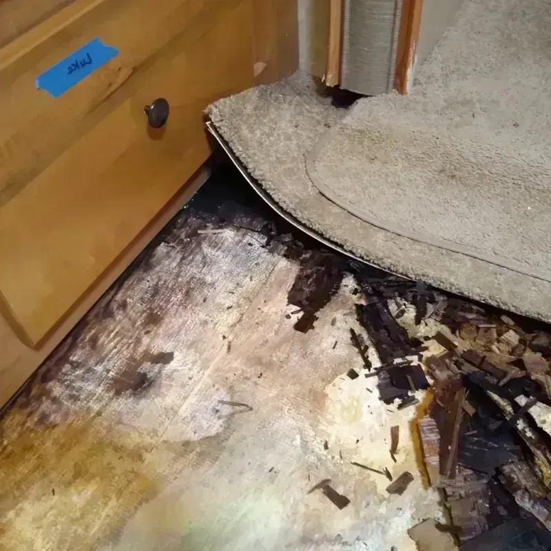 Best Wood Floor Water Damage Service in Wellman, IA